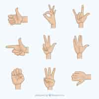 Free vector human hand gestures