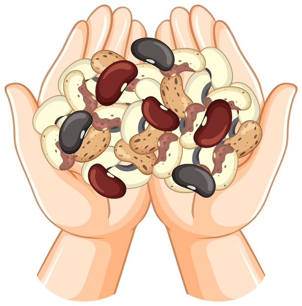 Бесплатное векторное изображение Человеческая рука держит зерно и орехи