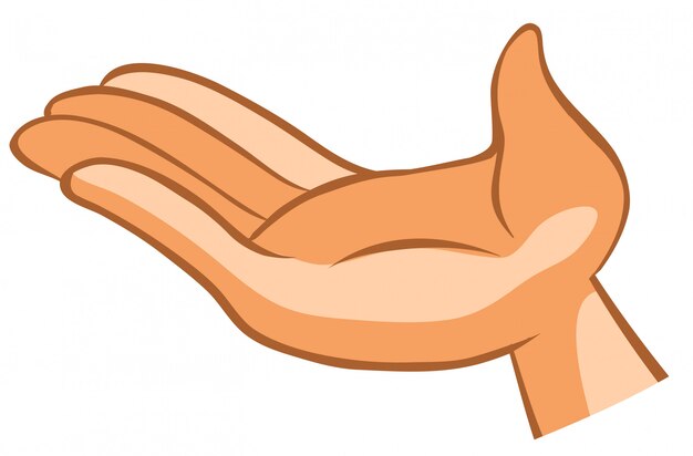 A human hand on white background
