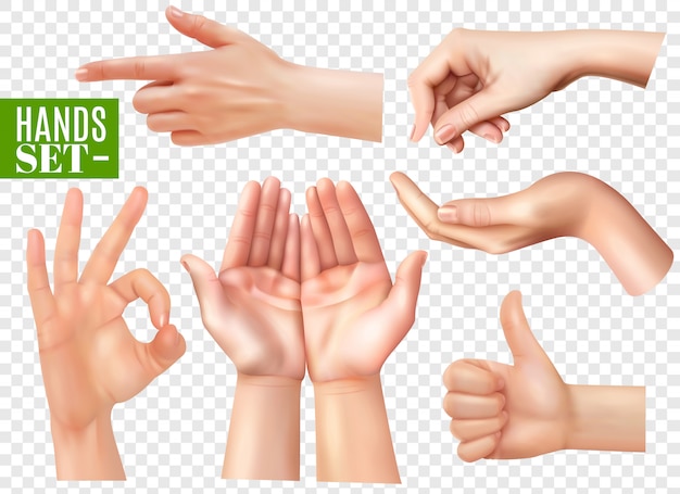 Free vector human hands gestures realistic images set with pointing finger ok sign thumb up transparent