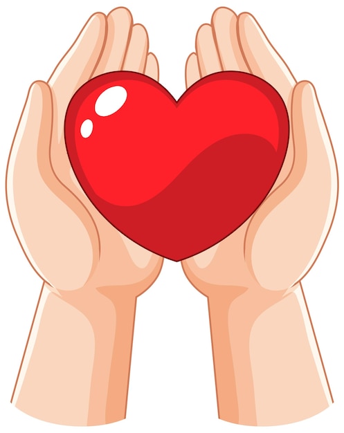 Human hands holding heart