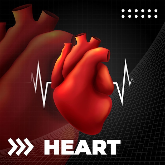 Анатомия человеческого сердца. Шаблон медицинской анатомической кардиологии