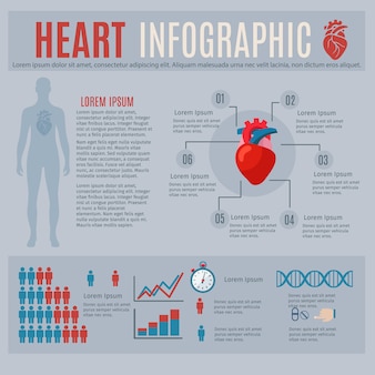 Human heart infographics with body silhouette and charts