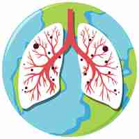 Free vector human lungs on earth globe