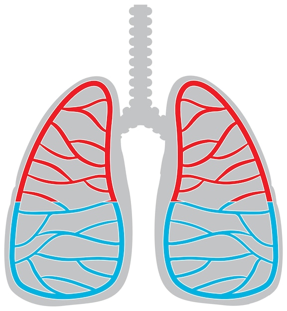 무료 벡터 흰색 바탕에 인간의 폐 아이콘