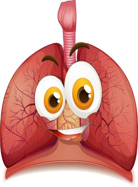 Free vector human lungs with face expression