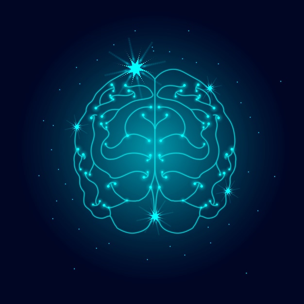 Human nervous system