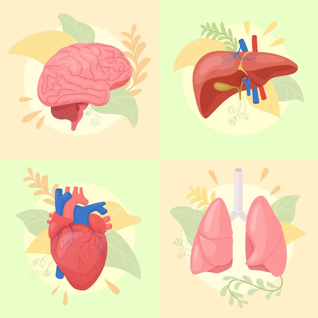 Free vector human organs flat 2x2 set of square compositions with floral elements and colored limbs internal organs vector illustration