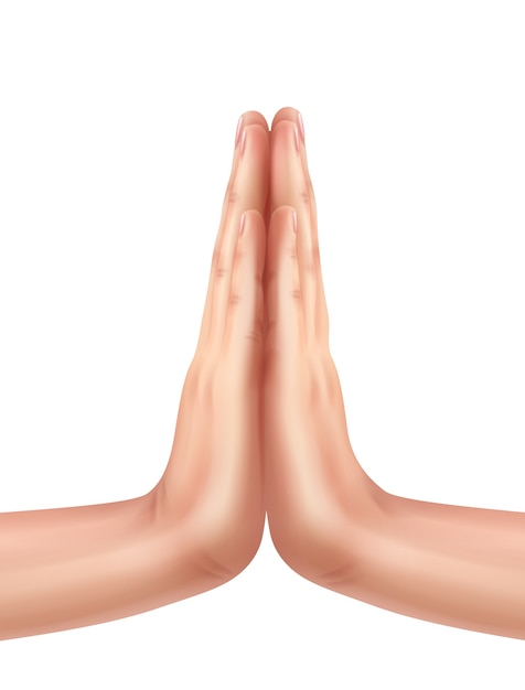 Free vector human put the palms of the hands together in praying