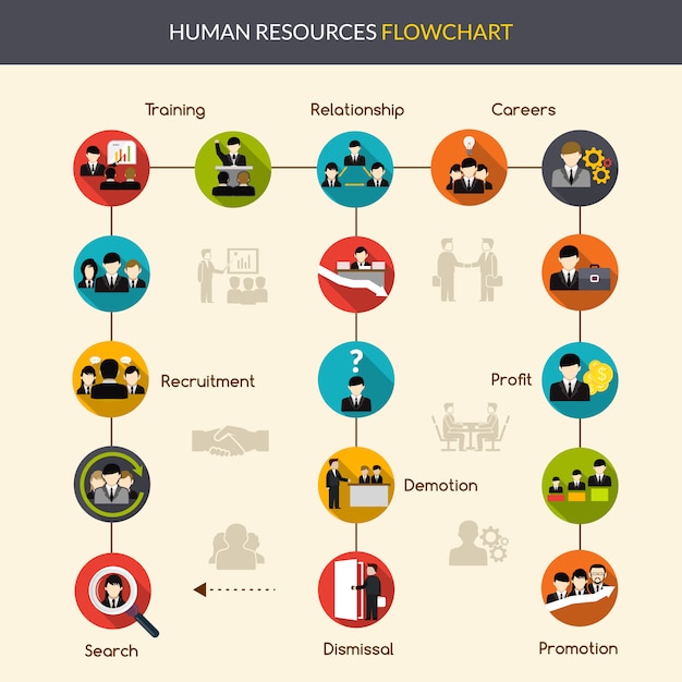 Free vector human resources flowchart