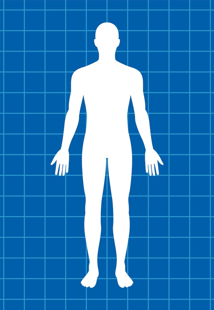 Free Vector human silhouette on blue grid background