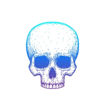 Человеческий череп с градиентом, векторная иллюстрация