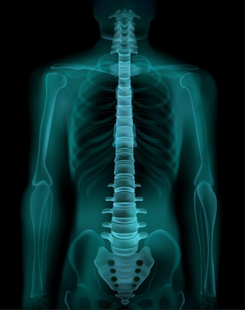 人間の脊椎と骨盤の現実的なX線CTX線撮影透視医療スクリーニング検査画像