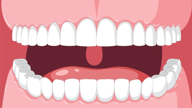 Бесплатное векторное изображение Человеческие зубы крупным планом мультфильм