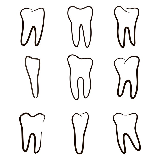 Human teeth icons set isolated on white for dental medicine clinic Linear dentist logo Vector