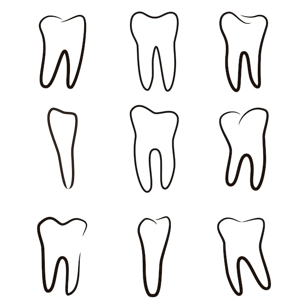 Набор иконок человеческих зубов изолирован на белом для стоматологической клиники Линейный дантист логотип Вектор