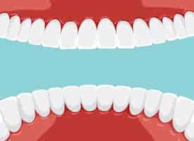 無料ベクター ホワイトニング歯で口の中の人間の歯