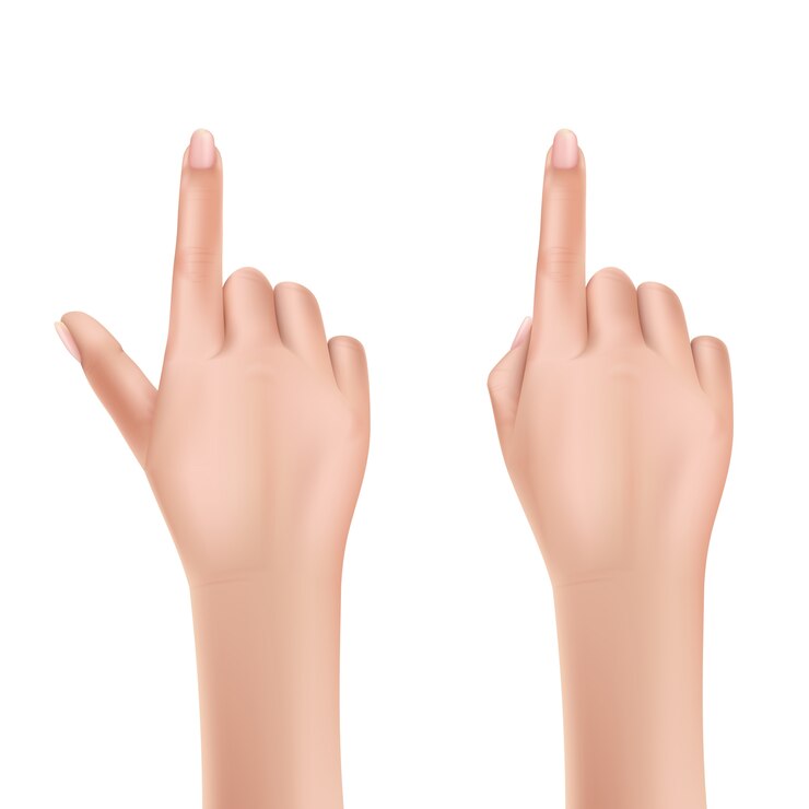 Free Vector human vector hands