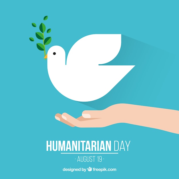 Humanitarian day, pigeon on hand