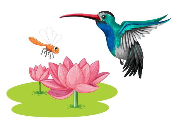 Colibrì con fiore di loto in stile cartone animato