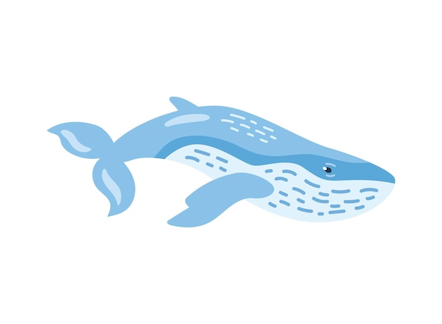 Free vector humpback sealife blue