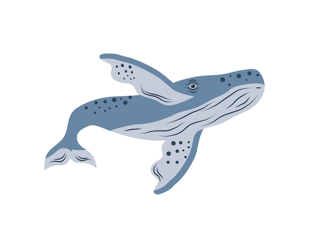 Humpback sealife cetacean isolated icon