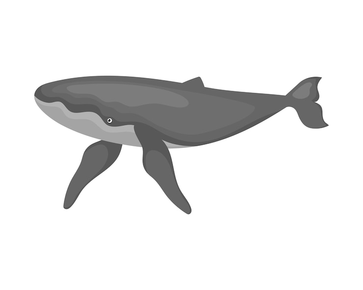 Free Vector humpback sealife fauna