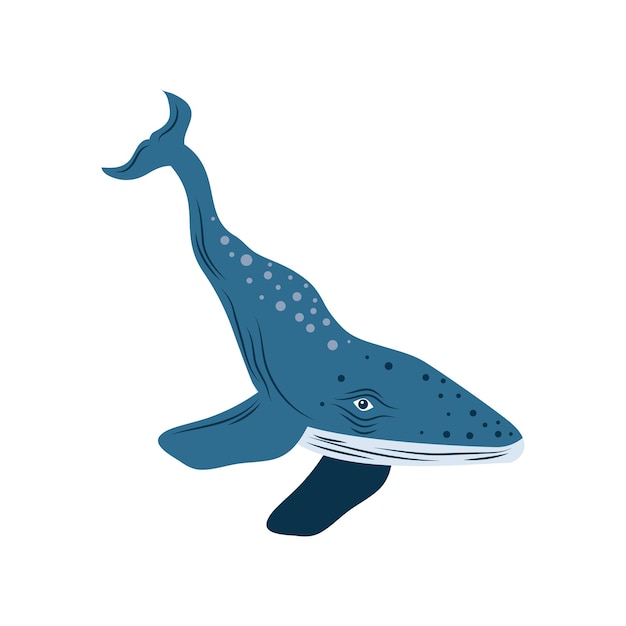 Free vector humpback sealife icon isolated vector