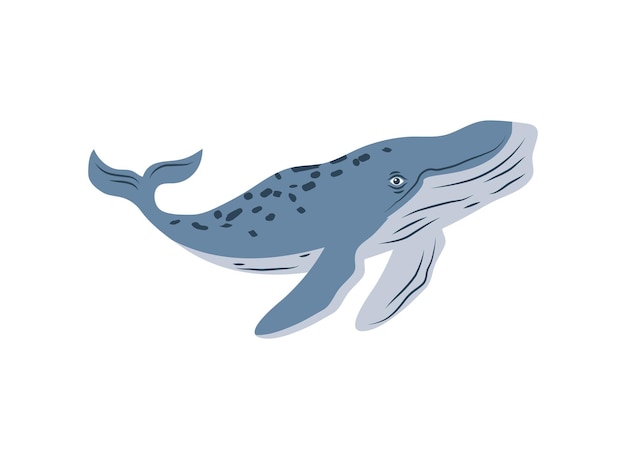 Free vector humpback sealife icon isolated vector