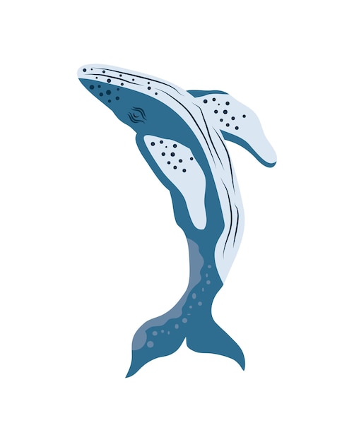 Free vector humpback sealife swim isolated icon