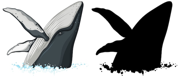 Humpback whale characters and its silhouette on white background