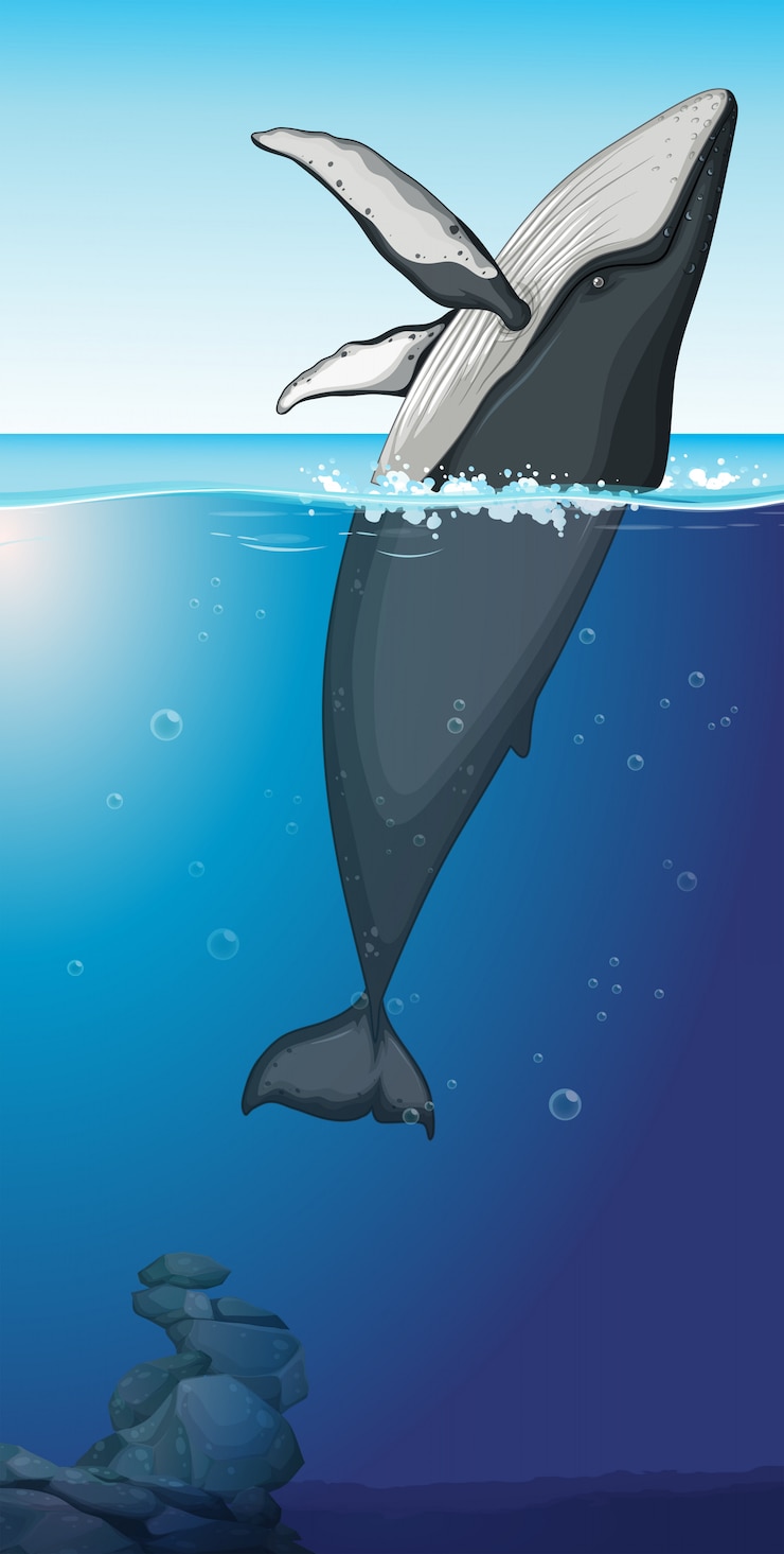 無料Vector 海のザトウクジラ