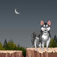 Бесплатное векторное изображение Хаски волк на скале ночью