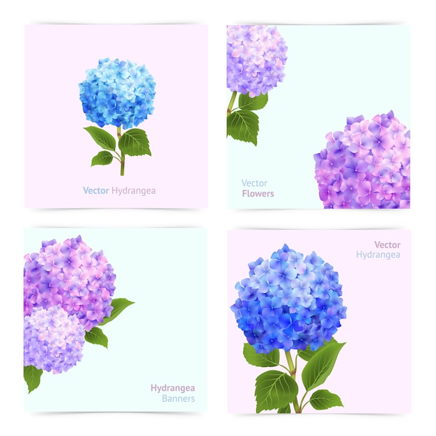 Free vector hydrangea cards set