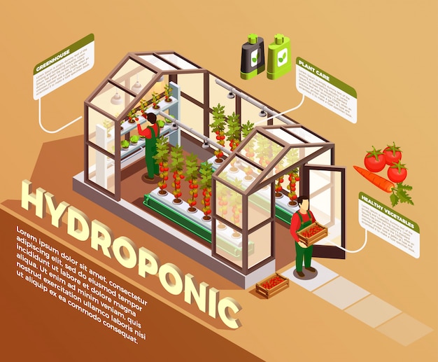 Free vector hydroponic isometric composition