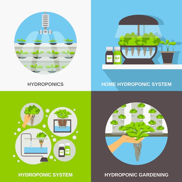 Vettore gratuito set di carte piatte hydroponics