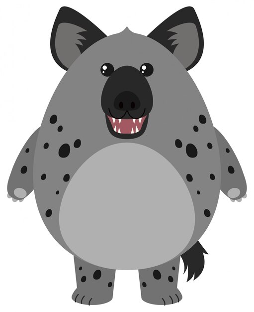 Hyena with round body