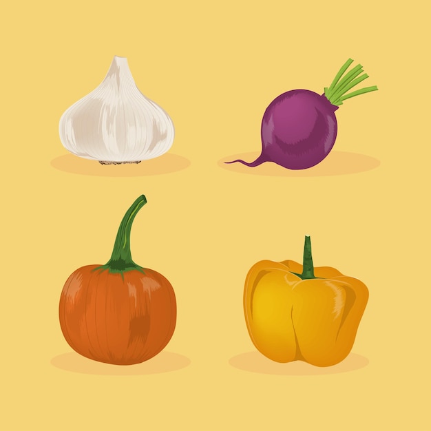 Free vector icon collection vegetables include pepper