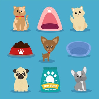 Icons pets cartoon