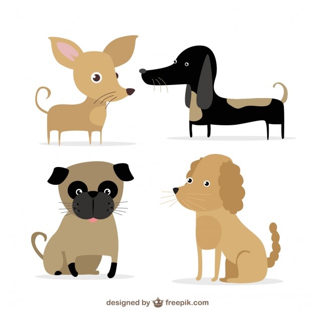 Vettore gratuito illustrati razze cute dog