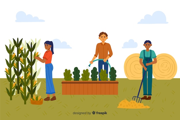 Insieme illustrato di agricoltori che lavorano