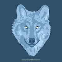 Free vector illustrated wolf background