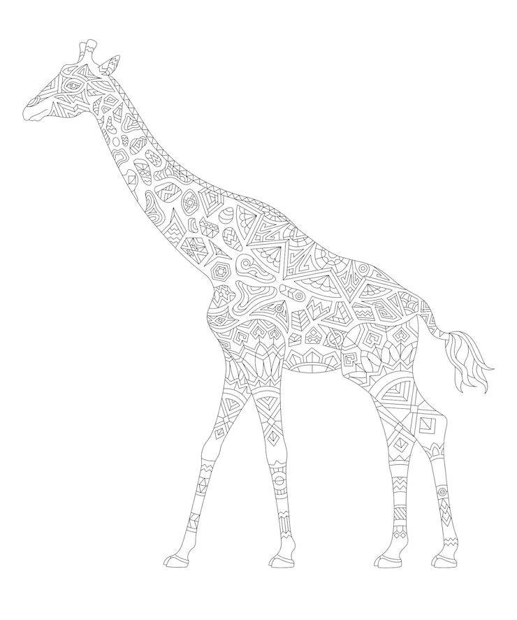 Free Vector illustration of animal adult coloring page