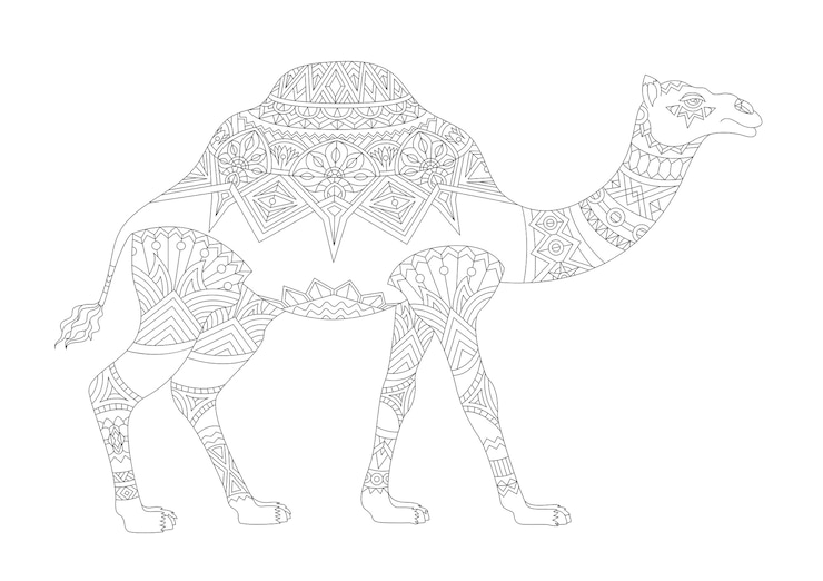 Free Vector illustration of animal adult coloring page