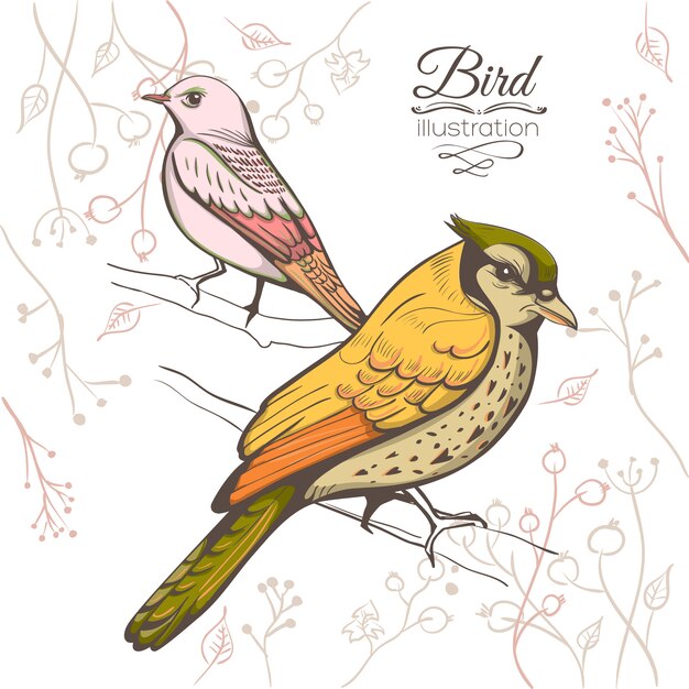 illustration of a bird. handmade background.