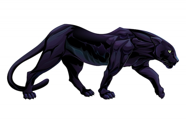 Free vector illustration of a black panther