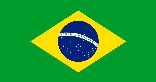 브라질 국기의 그림