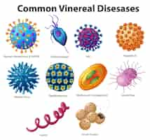 Free vector illustration of common venereal diseases