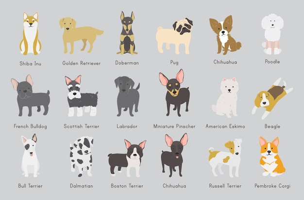 Free vector illustration of dogs collection