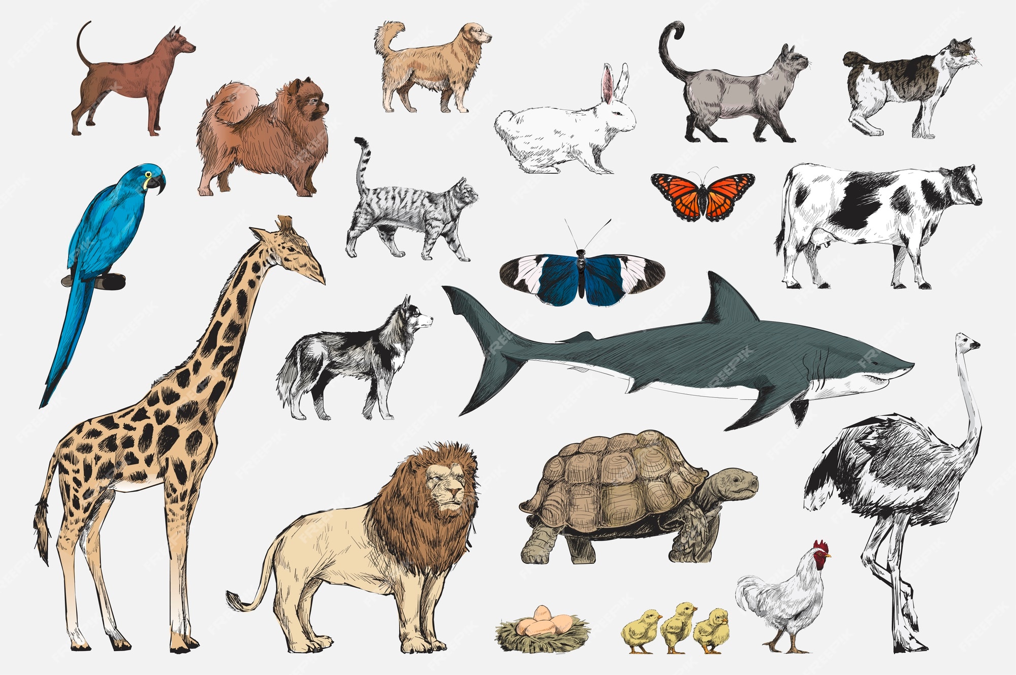 Page 2 | Drawn animals Vectors & Illustrations for Free Download | Freepik Page 2 | Drawn animals Vectors & Illustrations for Free Download | Freepik
